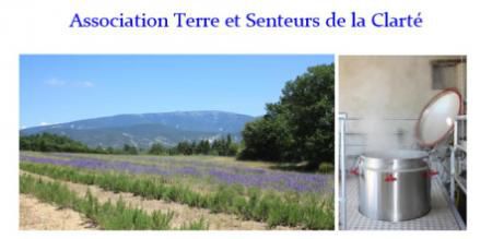 RENDEZ-VOUS. Odeurs de saints étés - E&E