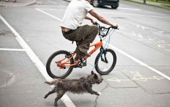 mode fashion bike