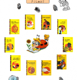 Rallye-Lecture CE1 : Polars