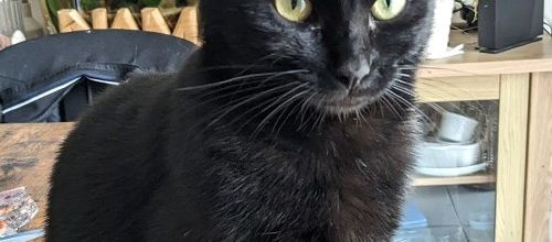 mes amusements en photos ! 