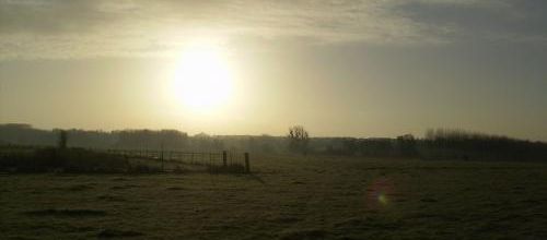 petit matin 