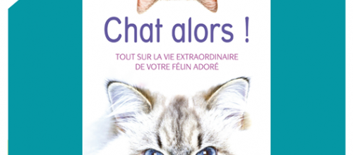 Chat alors !