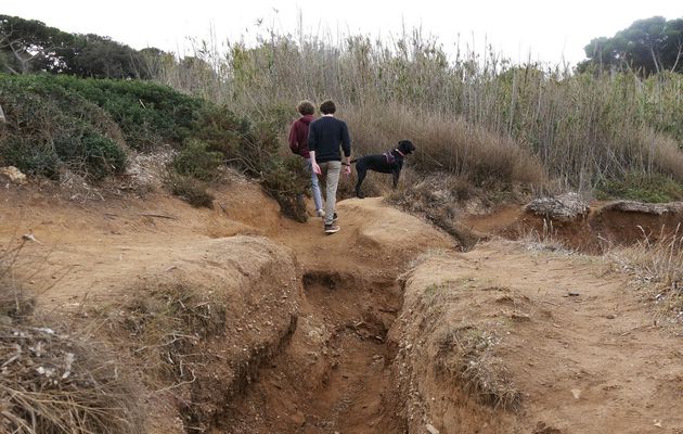Le 29 octobre 2023 : Promenade sur la presqu'île de Giens