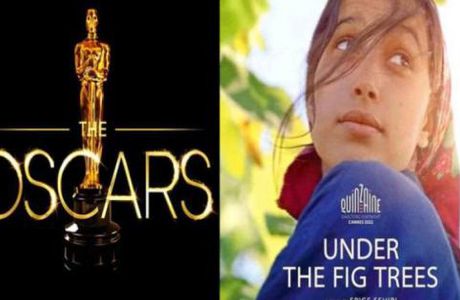 Oscars 2023 La Tunisie choisit un film cannois