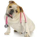 Quand ça veut pas, ça veut pas