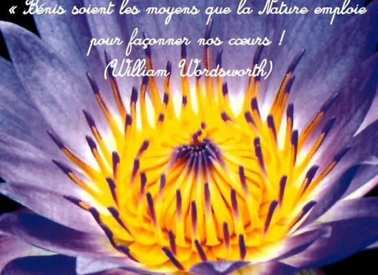 Citations en images : La nature