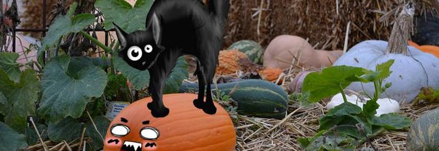 HALLOWEEN : Poème : Quand l'automne s'installe
