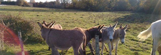notre balade près de chez nous