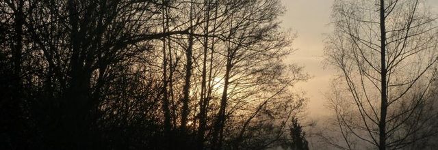 Balades et les oiseaux au jardin