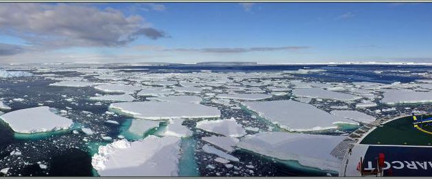 26/02/2022 suite : cette matinée "Manchots Adélie" est vraiment la plus belle matinée de navigation depuis le départ ! - Cap Colbeck - Mer de Ross - Antarctique