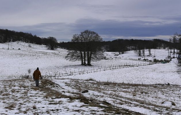 Le 25 février 2024 : Doux bruits des pas à Retord - 2