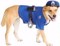 mode fashion dog