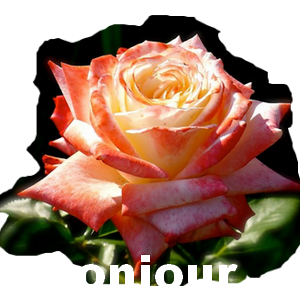 ♥bon Mardi♥