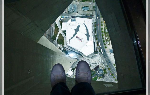 Plancher de verre : 350 m de vide sous les pieds - CN Tower - Toronto - Ontario - Canada
