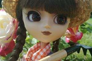 Le plaisir de jardiner...