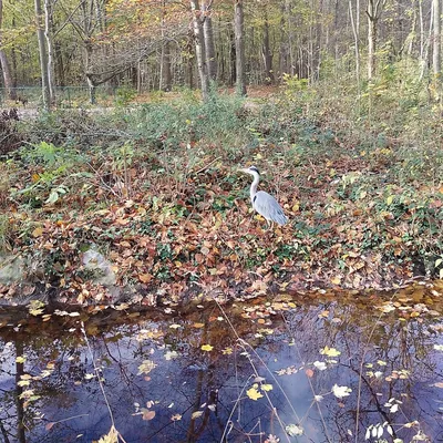 Balades de novembre du midi