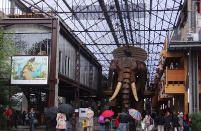 A Nantes, une offre d'emploi pour devenir pilote d'éléphant...