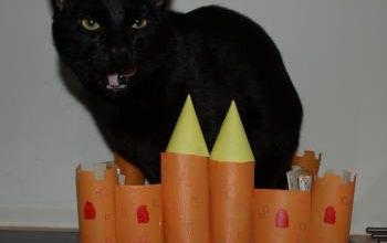 Des mots commençant par "cha" (Atelier du 18/08/2015)