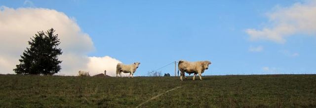 la campagne..