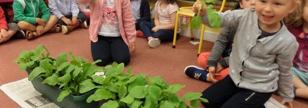 Une attente récompensée