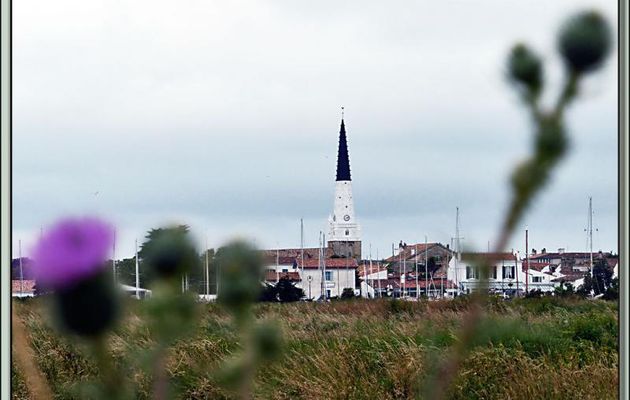 Le clocher amer de l'église Saint-Étienne - Ars-en-Ré - Île de Ré - 17