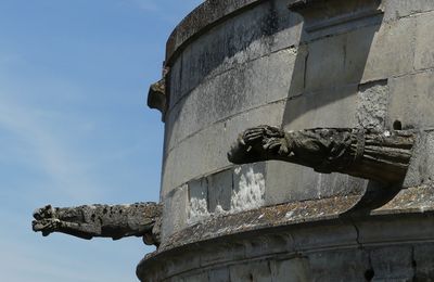 Le Château Royal d'Amboise : les gargouilles...