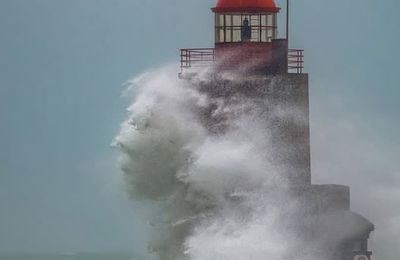 Puissance des esprits de la mer 