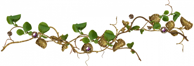 Ѽ Vegetation 