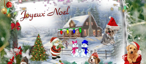 JOYEUX NOEL MES AMIES S
