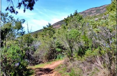 Sentier le long du Fango - Corse