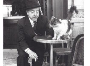 Les compagnons célèbres de chats :