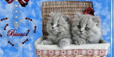Bon dimanche 4 août