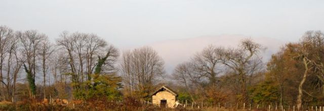 L'automne raconte à la terre les feuilles.... 