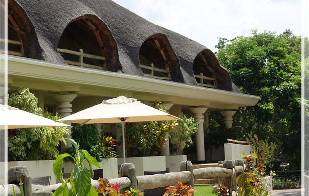 Ilala Lodge Hotel avec parfois la présence d'animaux sauvages qui viennent paître dans le jardin - Victoria Falls - Zimbabwe