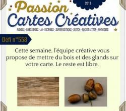 Passion cartes Créatives#558 !