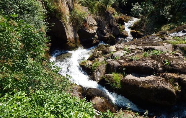 une cascade en montagne