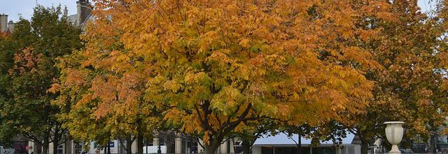 La photo du weekend : "Couleur d'automne"