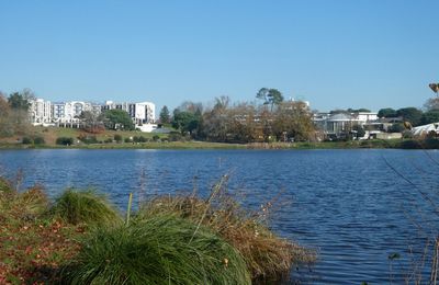 Une balade autour du Lac de Christus à ST PAUL LES DAX (40), le 12 décembre...