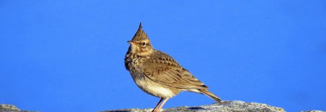 mes photos de mes archives