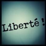 ***LA FRAUDE EST CERTIFIEE LA BATAILLLE FINALE PEUT COMMENCER***