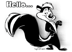 LA SIGNIFICATION DES COULEURS - LE NOIR ET BLANC