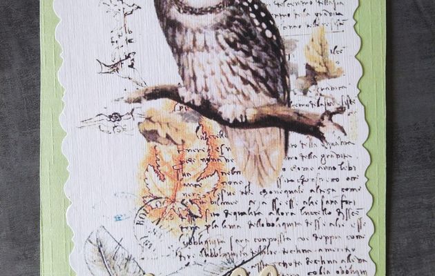 Echange découpes Eté (scrap)