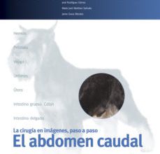 [ePub] CIRUGIA EN LA CLINICA DE PEQUEÑOS ANIMALES. EL ABDOMEN CAUDAL descargar gratis