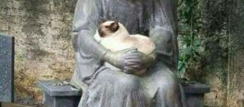 Jésus et le chat...