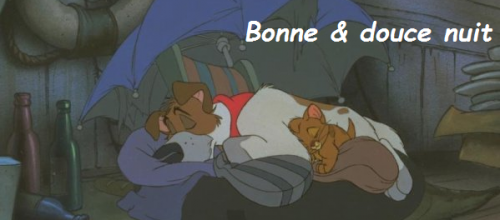 Bonne nuit
