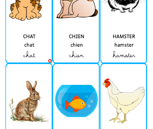 Création de jeux de cartes 