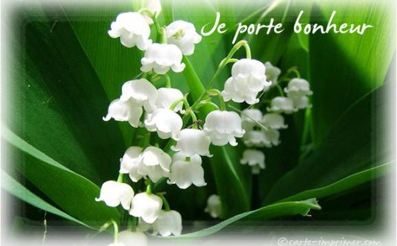 Un petit brin de muguet.....