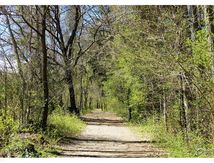 La nature s'éveille