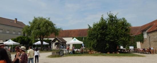 Pique-Nique Littéraire 14 juin 2015 photos