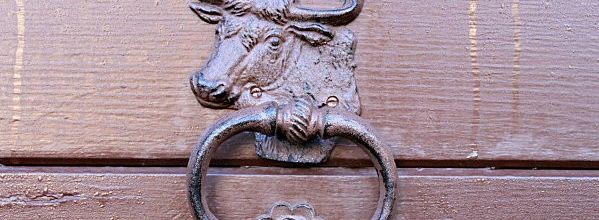 SALERS (Cantal)